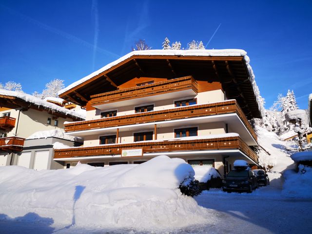 Sportchalet Viehhofen Appartements